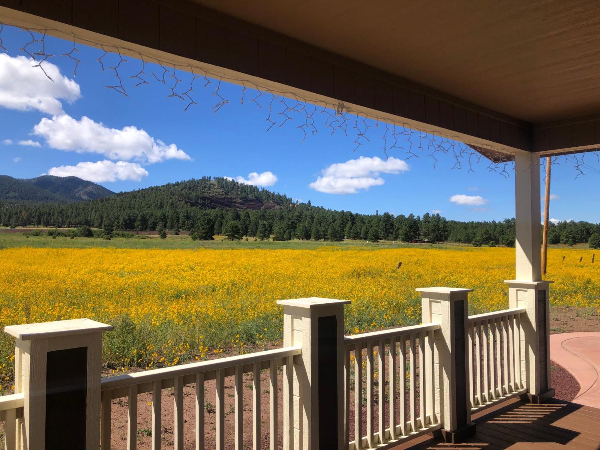 New! The Grand Getaway At Williams - Family Friendly & Walk To The Gc Train Villa Exteriör bild